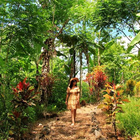 Natura Gardens Galapagos Bellavista  Екстериор снимка