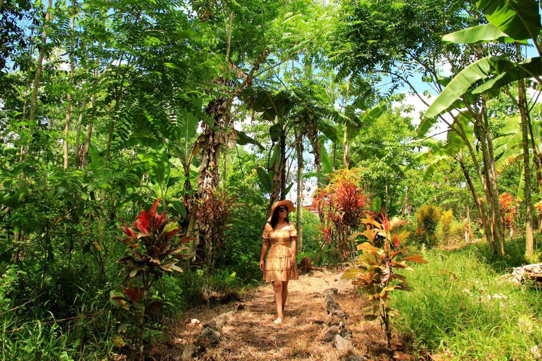 Natura Gardens Galapagos Bellavista  Екстериор снимка